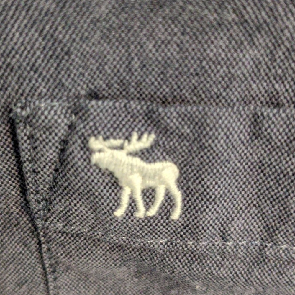 Abercrombie And Fitch Button Down - image 2